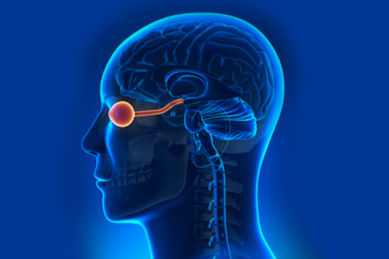 NeuroOphthalmology Adarsheye